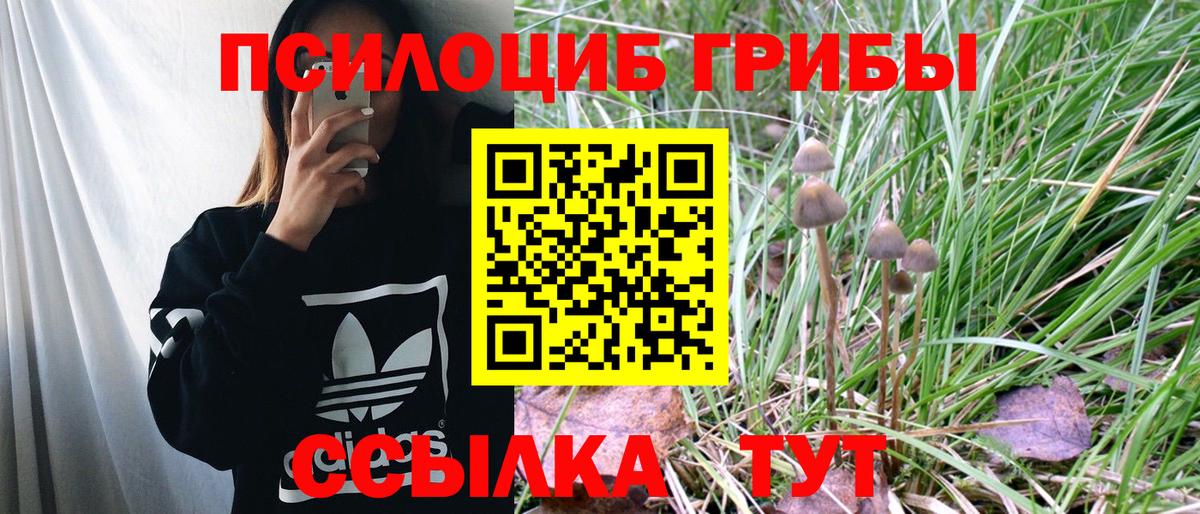 Псилоцибиновые грибы Psilocybe  Вход с VPN  Псилоцибиновые грибы MAGIC MUSHROOMS  Фролово 